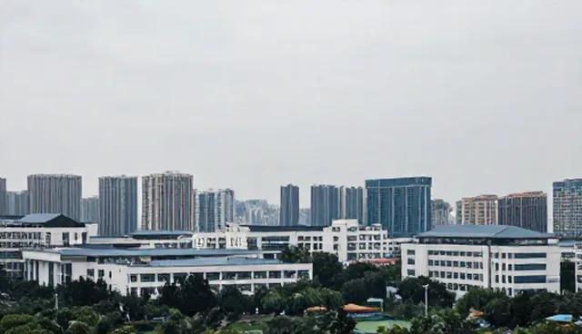 技术推广中的成本控制与维护建议